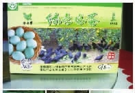 南宫NG28,油茶种植生产加工销售,植物油种植生产加工销售